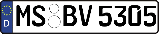 MS-BV5305