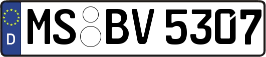 MS-BV5307