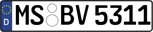 MS-BV5311