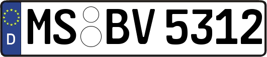 MS-BV5312