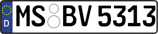 MS-BV5313