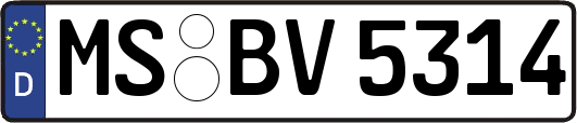 MS-BV5314