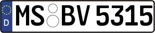 MS-BV5315