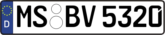 MS-BV5320