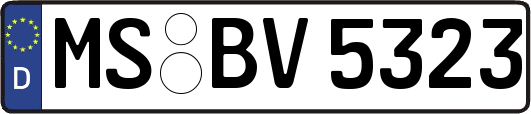 MS-BV5323