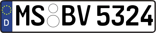 MS-BV5324