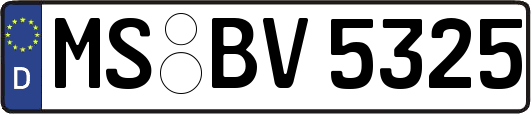 MS-BV5325