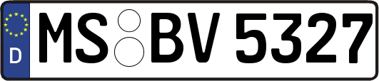 MS-BV5327