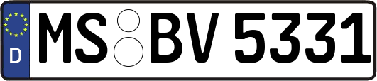 MS-BV5331