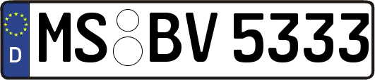 MS-BV5333