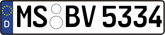 MS-BV5334