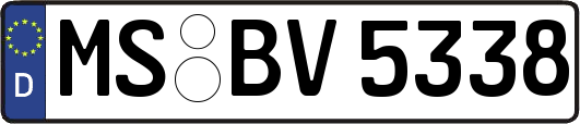 MS-BV5338