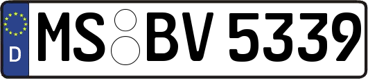 MS-BV5339