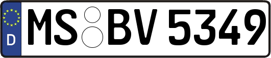 MS-BV5349