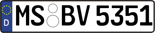 MS-BV5351