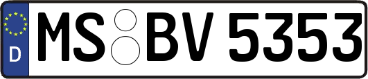 MS-BV5353
