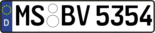 MS-BV5354