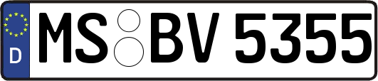 MS-BV5355