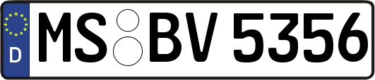 MS-BV5356