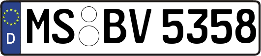 MS-BV5358
