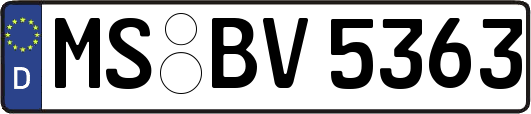 MS-BV5363