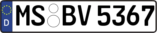 MS-BV5367