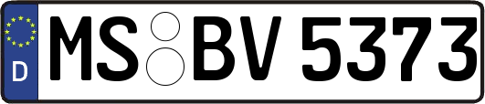 MS-BV5373