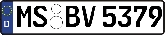 MS-BV5379