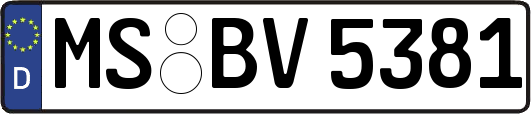 MS-BV5381