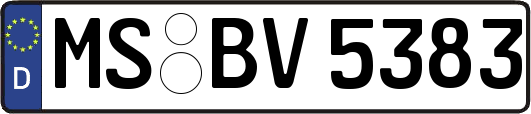 MS-BV5383