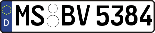 MS-BV5384
