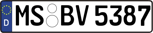 MS-BV5387