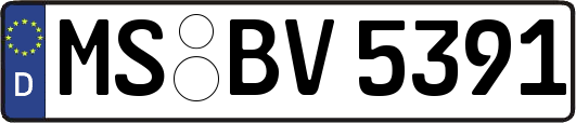 MS-BV5391