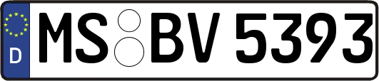MS-BV5393