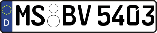 MS-BV5403