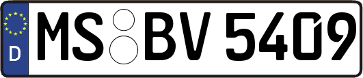 MS-BV5409