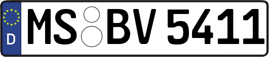 MS-BV5411