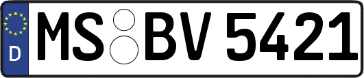 MS-BV5421