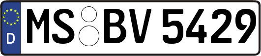 MS-BV5429