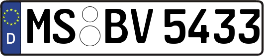 MS-BV5433