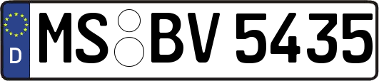 MS-BV5435