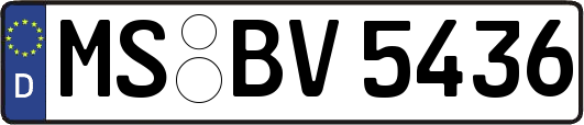 MS-BV5436