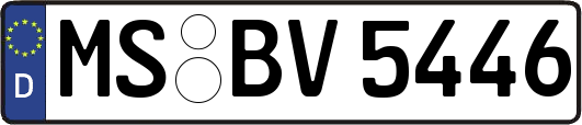 MS-BV5446
