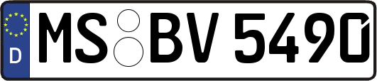 MS-BV5490