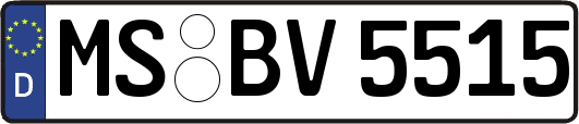 MS-BV5515