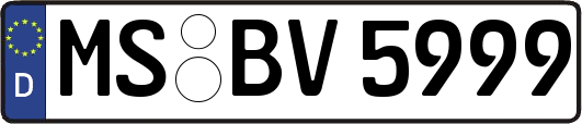 MS-BV5999