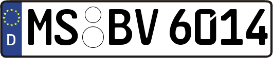 MS-BV6014