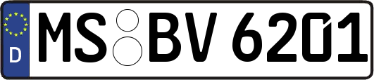 MS-BV6201
