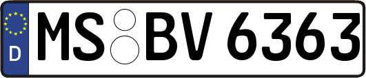MS-BV6363