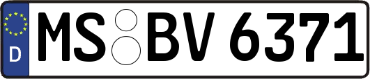 MS-BV6371